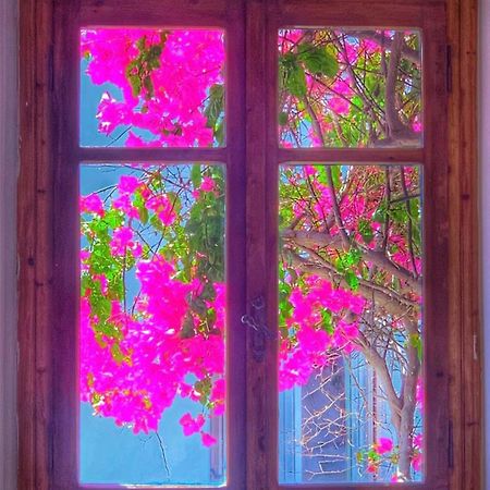 Mare Naxia Hotel Naxos City Εξωτερικό φωτογραφία